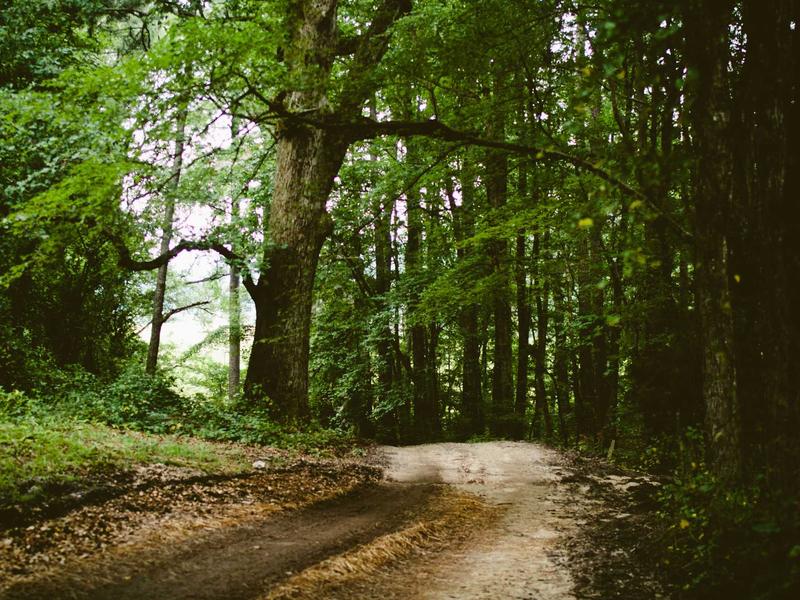 sudoku coloring method screenshot 5