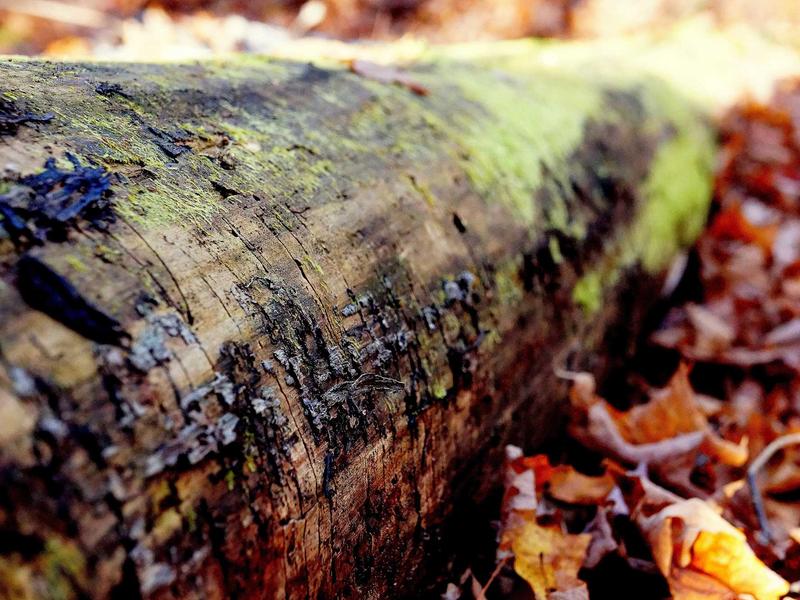 android screenshot 3